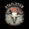 53554636 0 2 - Chris Stapleton Merch